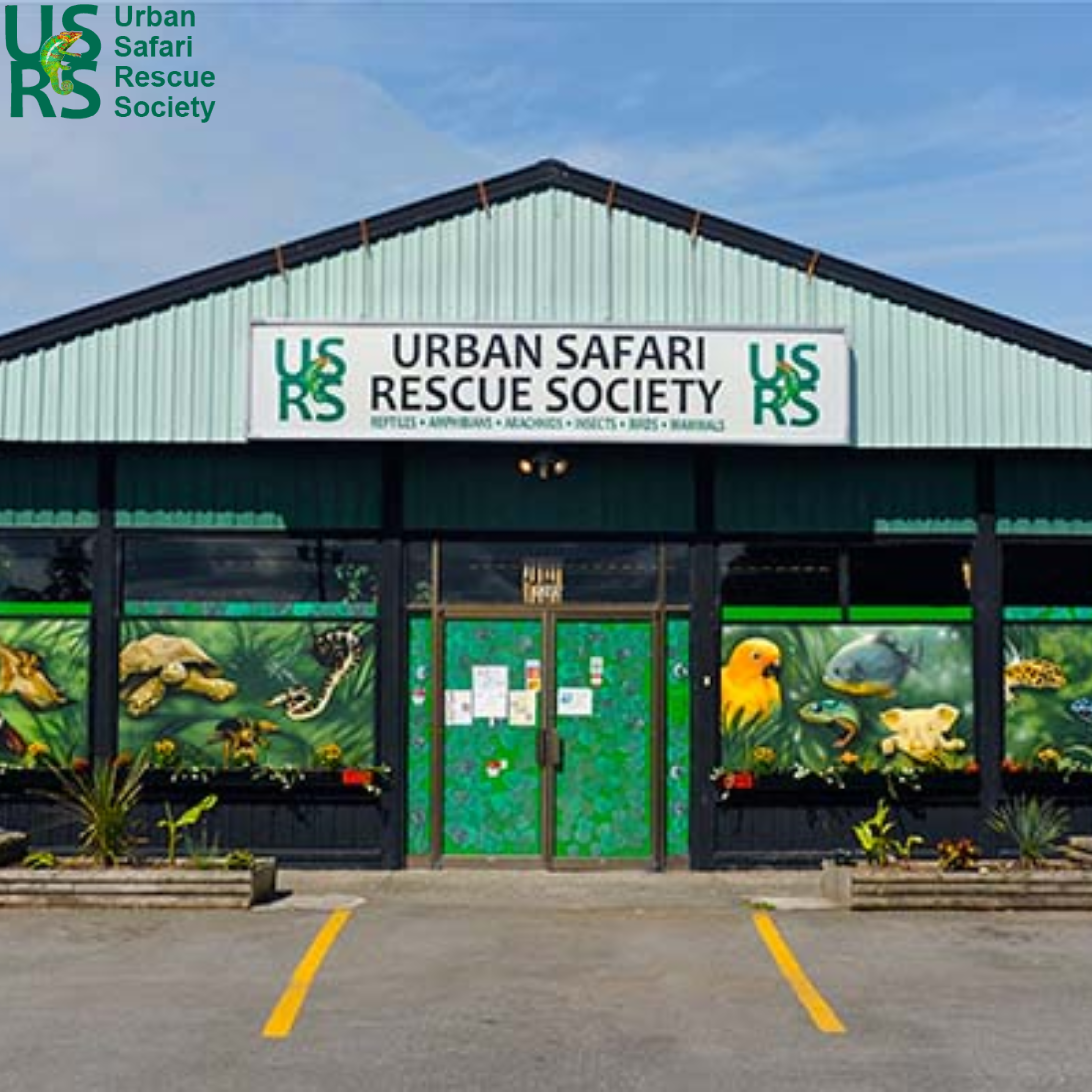 Urban safari
